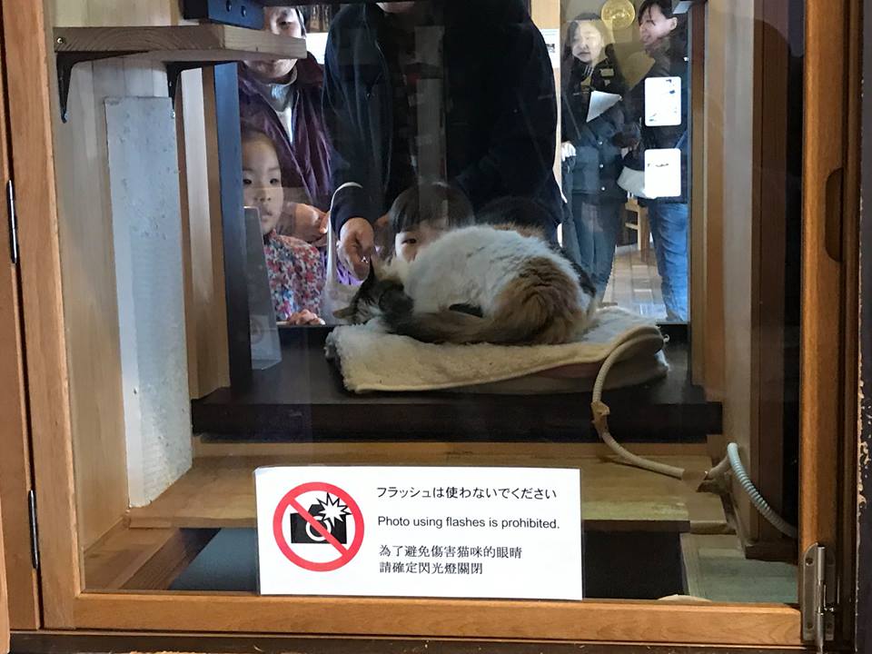 15826123_10211679825780283_3830904198490057091_n