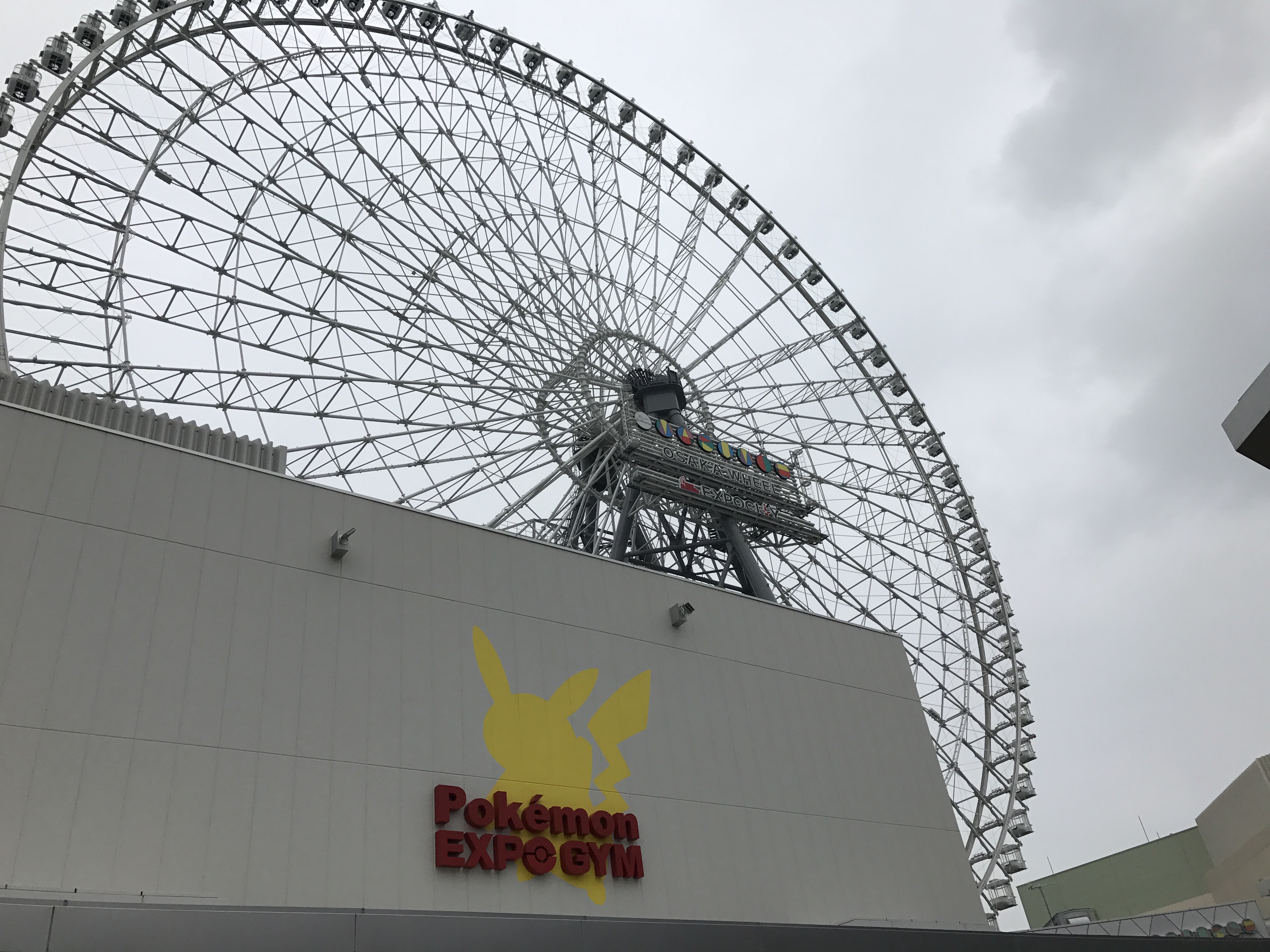 20170625_040456733_iOS